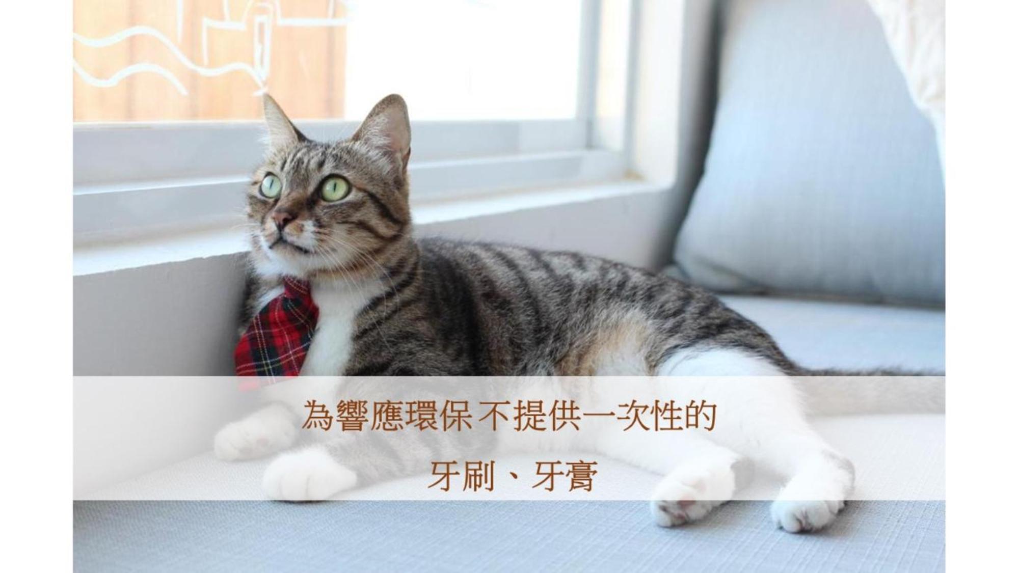 Cat At Greece Bed & Breakfast Nam Loan Ngoại thất bức ảnh