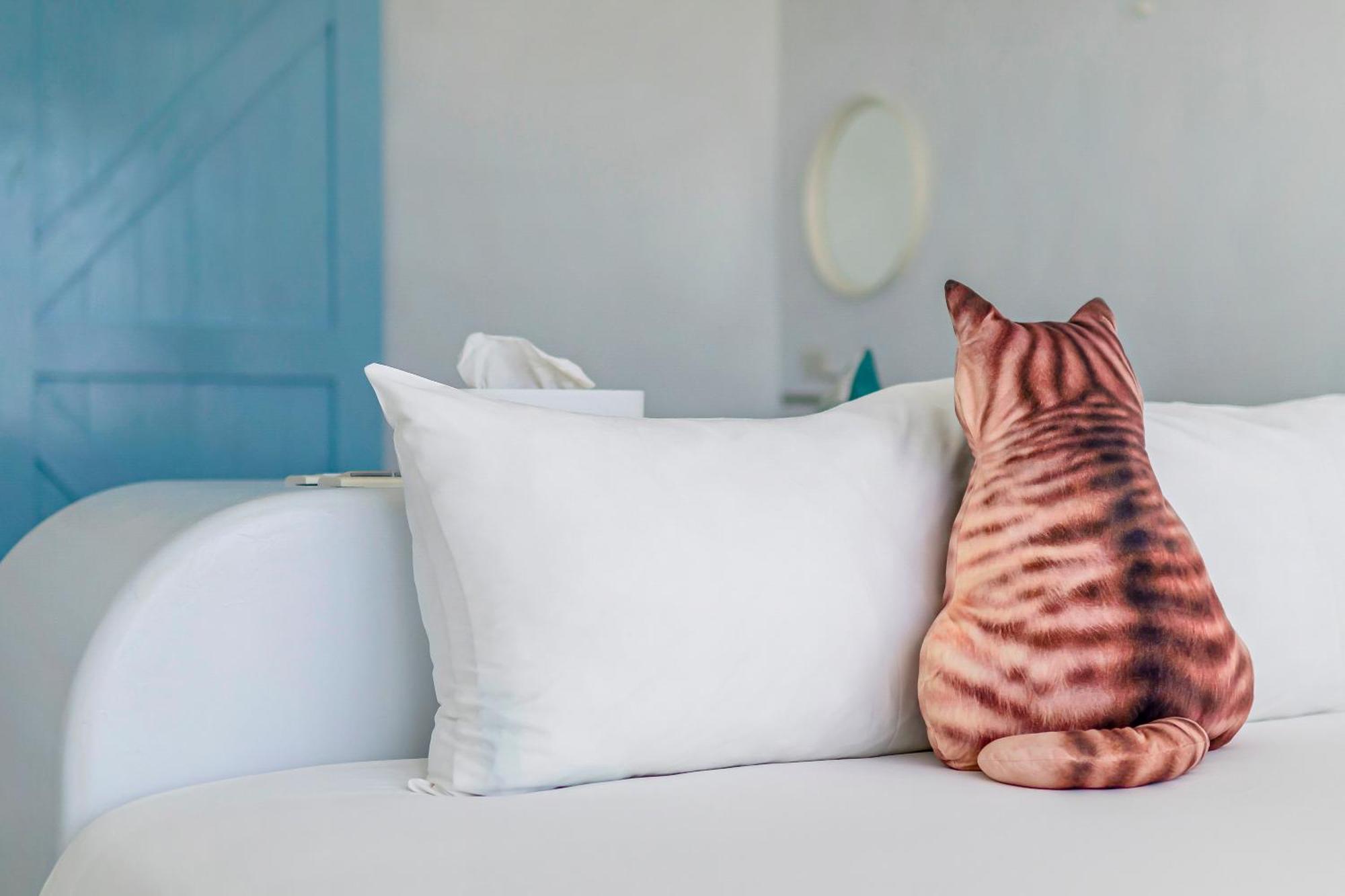 Cat At Greece Bed & Breakfast Nam Loan Ngoại thất bức ảnh